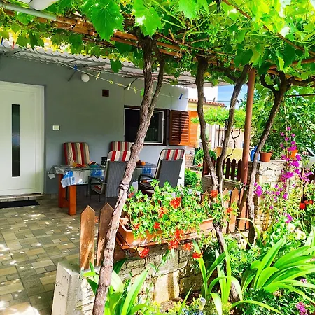 House Pavao プーラ
